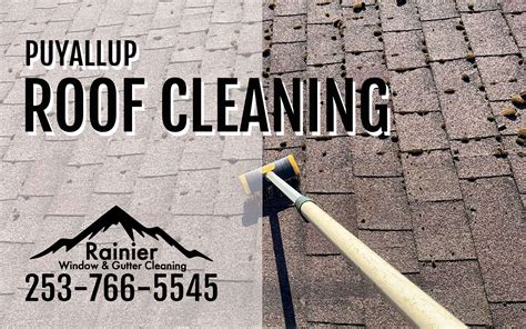 roof and gutter cleaning puyallup wa